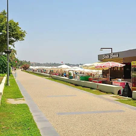 Seaside No-3 シダ